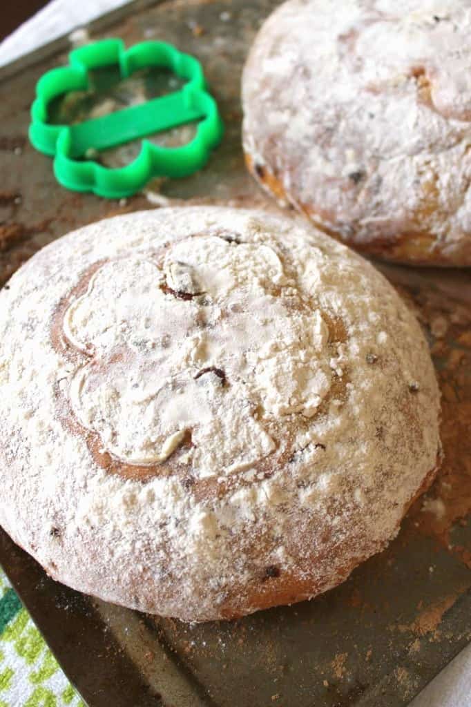 Irish Cheddar Bread! This easy yeast cheese bread recipe is practically foolproof. Make it with Irish cheddar for St. Patrick's Day or your favorite cheese any time you're in the mood for homemade bread. 