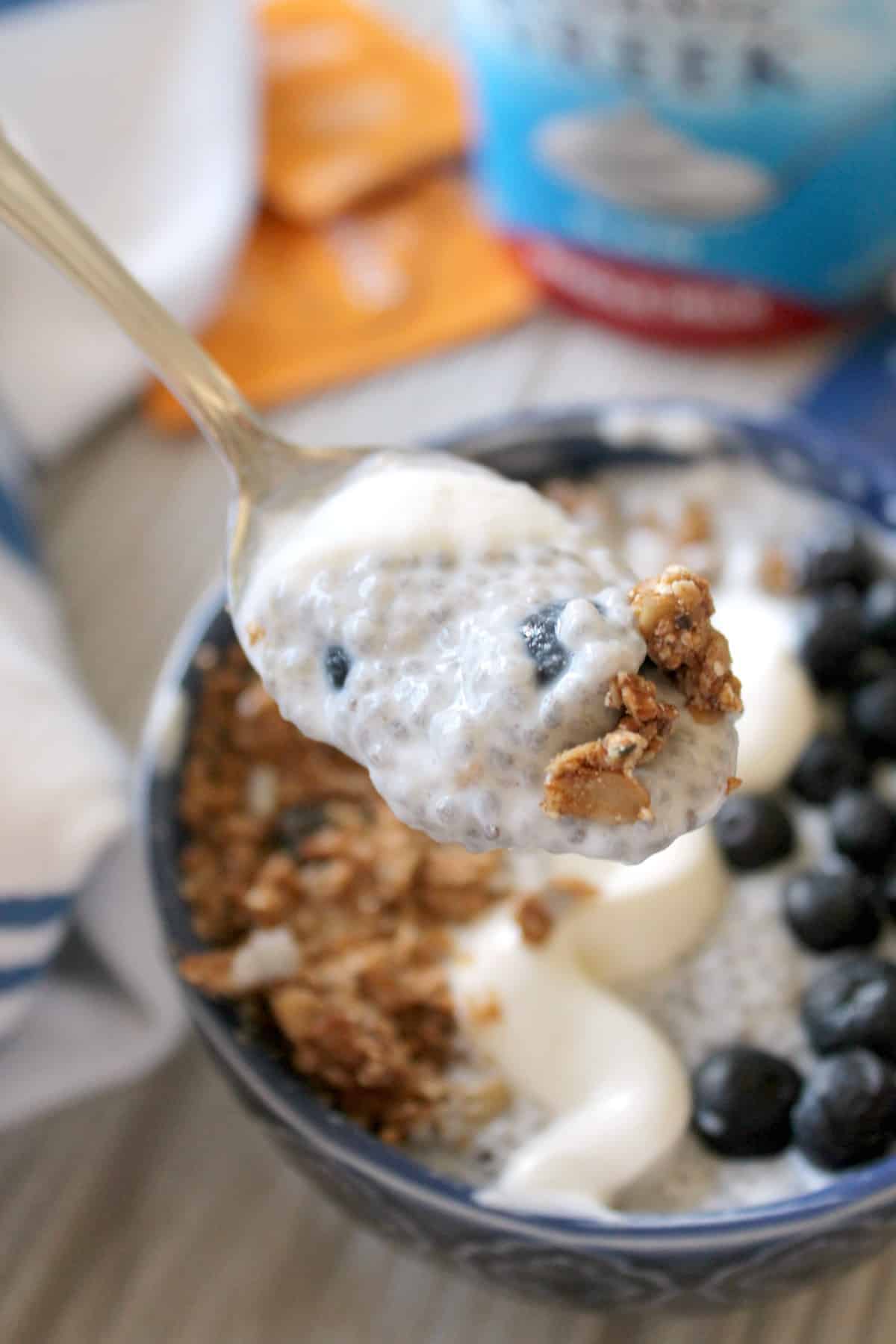 Blueberry-Ginger Chia Pudding -- brimming with nutritious qualities, chia pudding may just become your go-to breakfast or snack! This version is infused with ginger flavor and topped with berries, crunchy granola and a swirl of creamy yogurt.