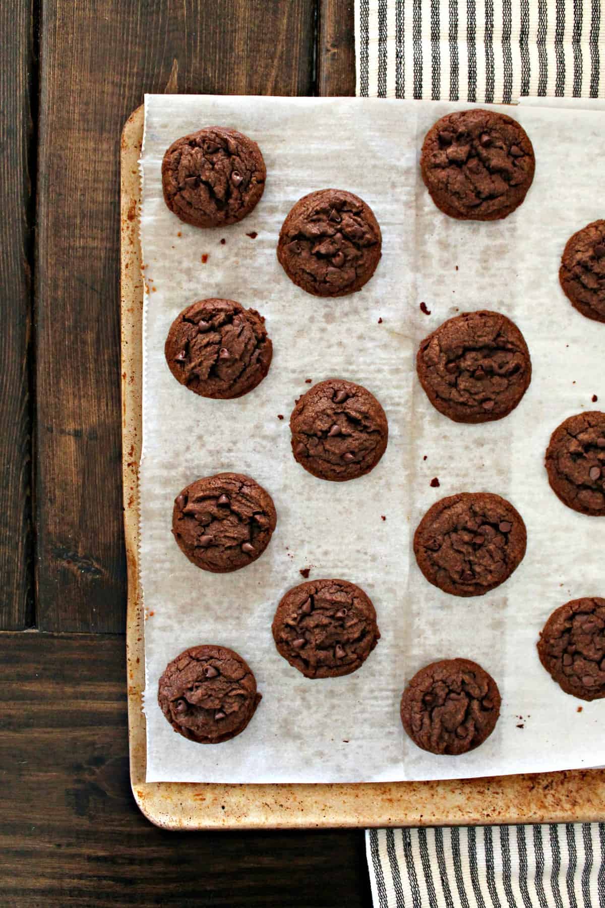 Chocolate Chocolate Chip Cookies! These cookies are a deep, chocolaty, mini-chip-studded version of my favorite chewy chocolate chip cookie recipe! Made with melted butter and requiring no chilling time, they're an easy recipe to whip up for last minute gatherings or any celebration! 