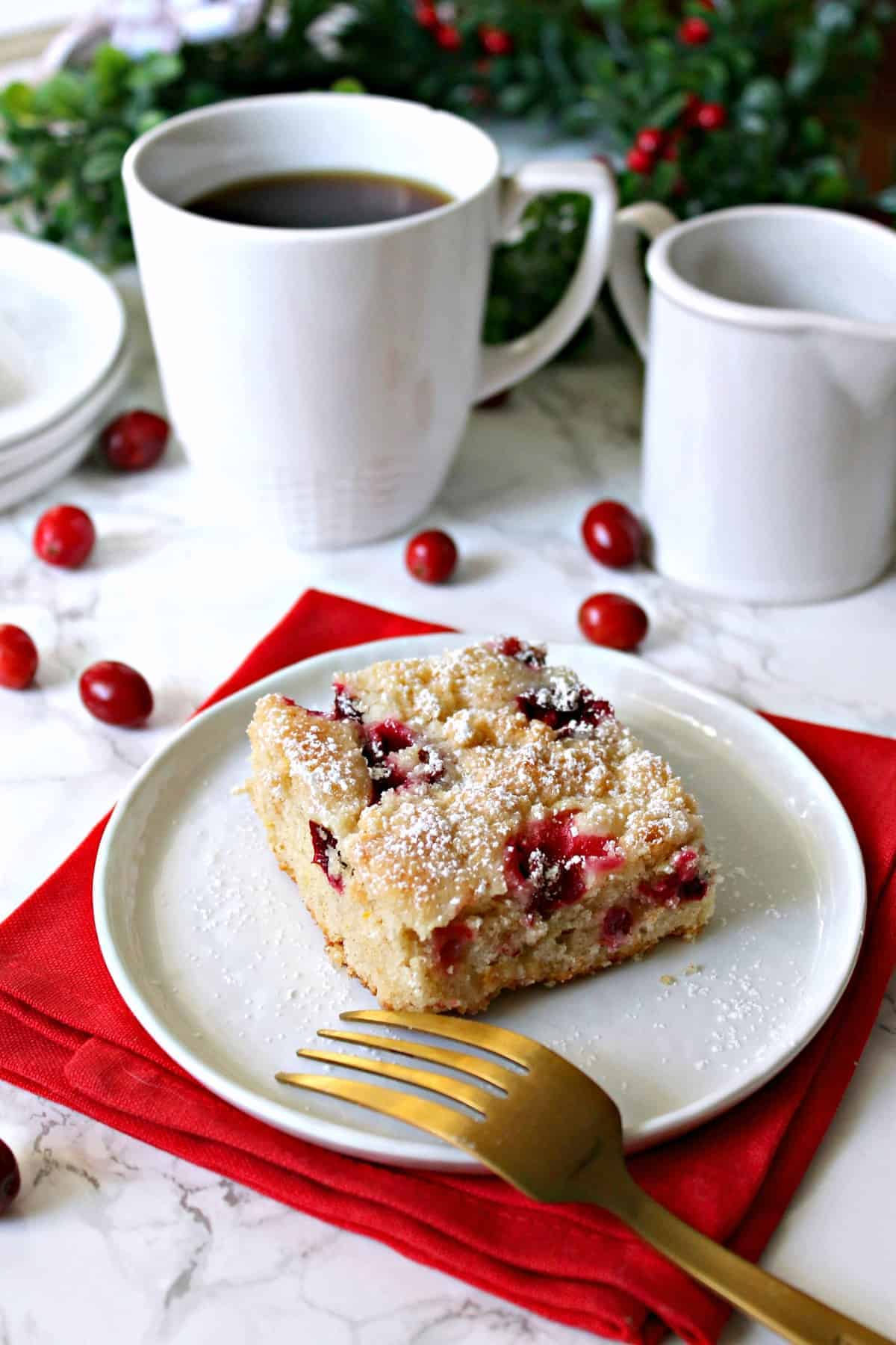 Cranberry Streusel Cake! Tart, fresh cranberries are tamed by a sweet, buttery streusel on this versatile, holiday-ready cake that's equally delicious for brunch or dessert!