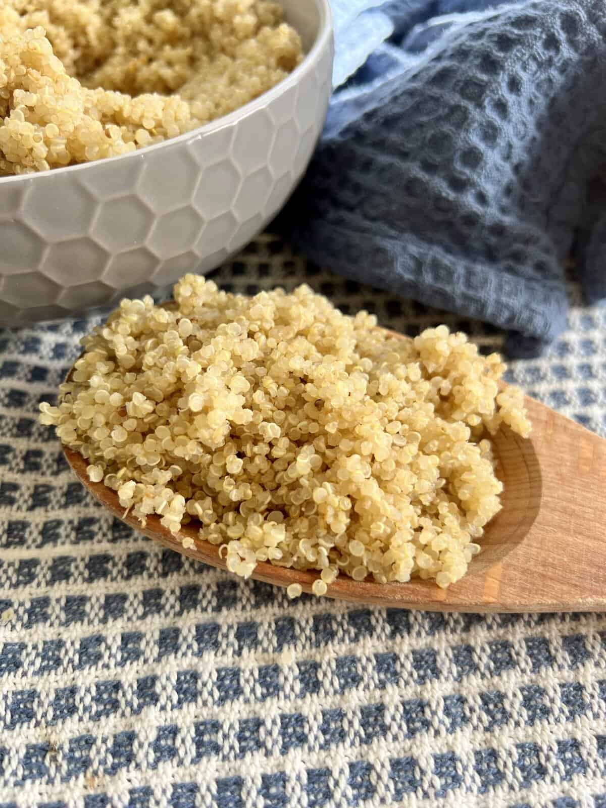 Fluffy, baked quinoa on a wooden spoon.
